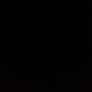 Fundraising Page: Megha Hegde